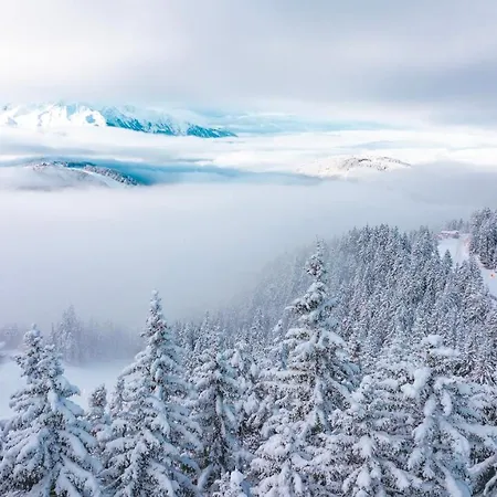 Lola * Ζέεφελντ